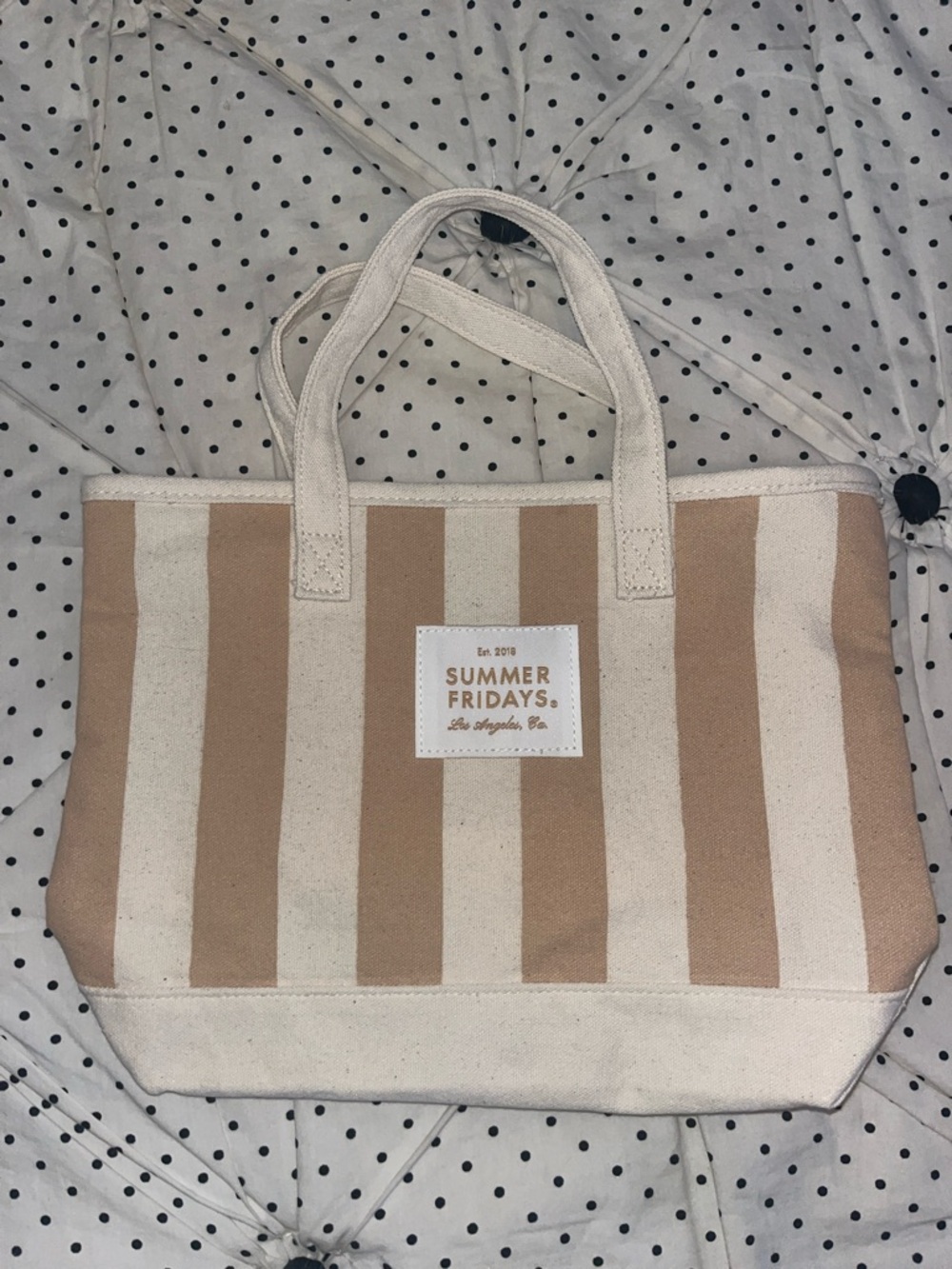 Summer Fridays taupe striped mini tote